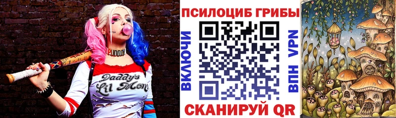 Галлюциногенные грибы Cubensis  Суоярви 